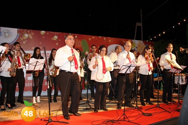 tree light 1208 (84).JPG